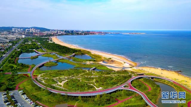 山东日照:扎上“蓝腰带”飘扬“绿丝带”