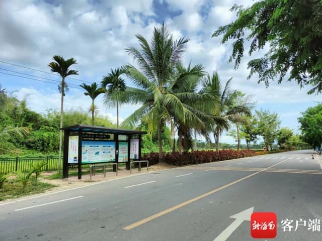 海南崖州:走上文明路 开出致富花